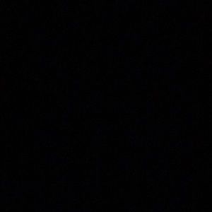 Meet your Posher, Darcie